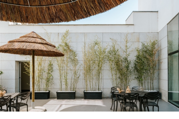 Boticas Hotel - Art & SPA Boticas